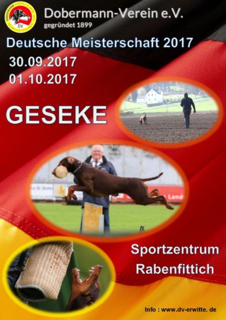 DM 2017 Werbung